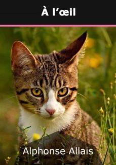 a l'oeil (ebook)-alphonse allais-9782322162987