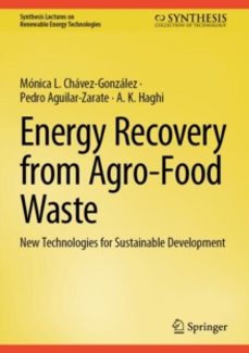 energy recovery from agro-food waste-a. k. haghi-9783031890987
