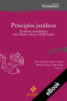 principios juridicos (ebook)-juan antonio garcia amado-9786123252687