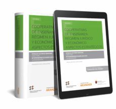 cooperativas de enseñanza. regimen juridico y economico: aspectos estrategicos-9788413091587