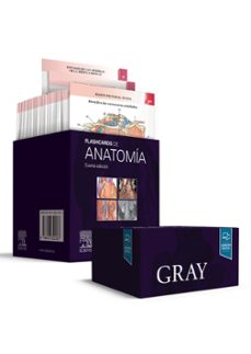 gray. flashcards de anatomia (4ª ed.)-richard l. drake-a. wayne vogl-9788413820187