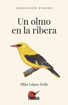 un olmo en la ribera-pilar lopez avila-9788419624987
