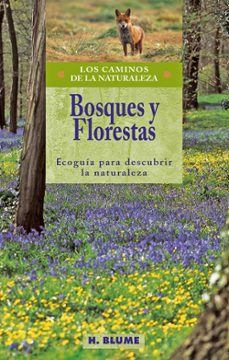 bosques y florestas: ecoguia para descubrir la naturaleza-9788489840287