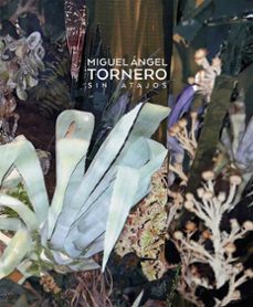 sin atajos: miguel angel tornero-miguel angel tornero cruz-9788491592587