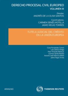 derecho procesal civil europeo, tutela judicial del credito en la union europa vol. iii-carmen senes motilla-9788499038087