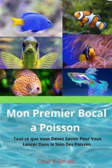 mon premier bocal a poissons (ebook)-9791221321487