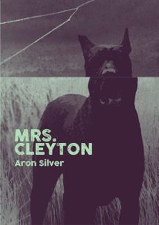 -aron silver-9798233338687