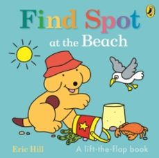 find spot at the beach-9780241648797