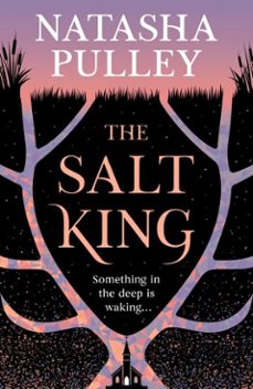 the salt king-natasha pulley-9781399632997