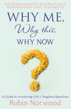 why me, why this, why now?-robin norwood-9781448183197