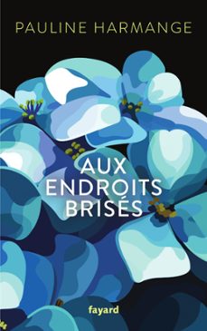 aux endroits brises (ebook)-pauline harmange-9782213722597