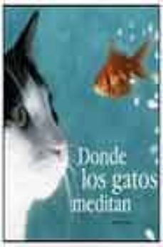 donde los gatos meditan-david baird-9788420540597
