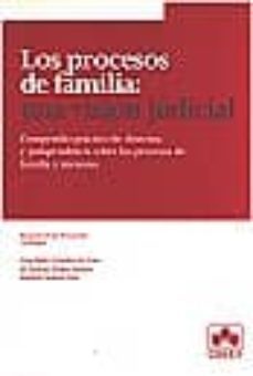 los procesos de familia: una vision judicial-9788483420997