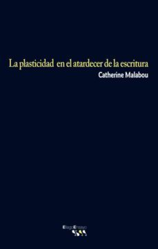 la plasticidad en el atardecer de la escritura-9788496720497