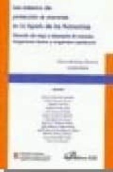 los sistemas de proteccion de menores en la españa de las autonom ias: situacion de riesgo y desamparo de menores. acogimiento familiar y acogida residencial-9788498491197