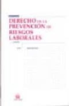 derecho de prevencion de riesgos laborales (4ª ed)-tomas sala franco-9788498760897