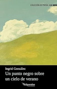 un punto negro sobre un cielo de verano-ingrid gonzalez-9791387538897