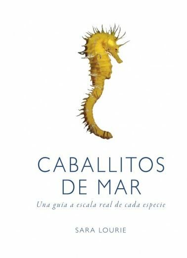 Caballitos De Mar por Desconocido