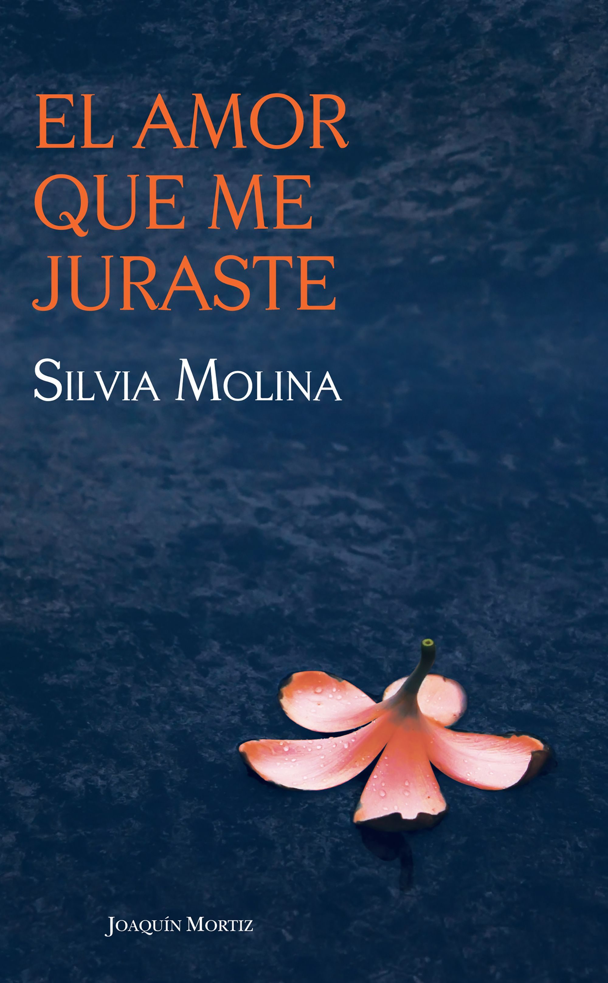 el amor que me juraste
