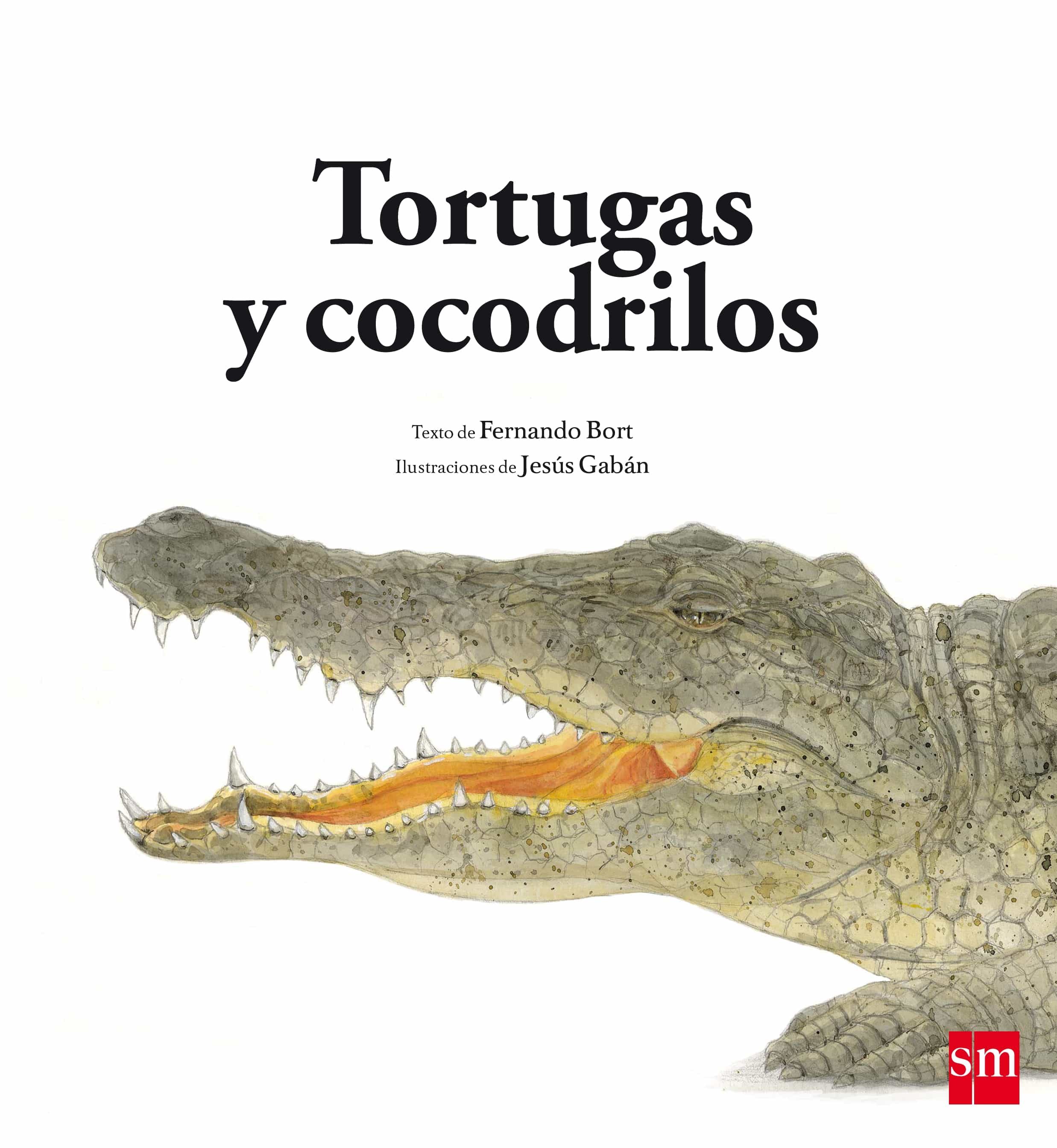 Tortugas Y Cocodrilos por Fernando Bort Misol