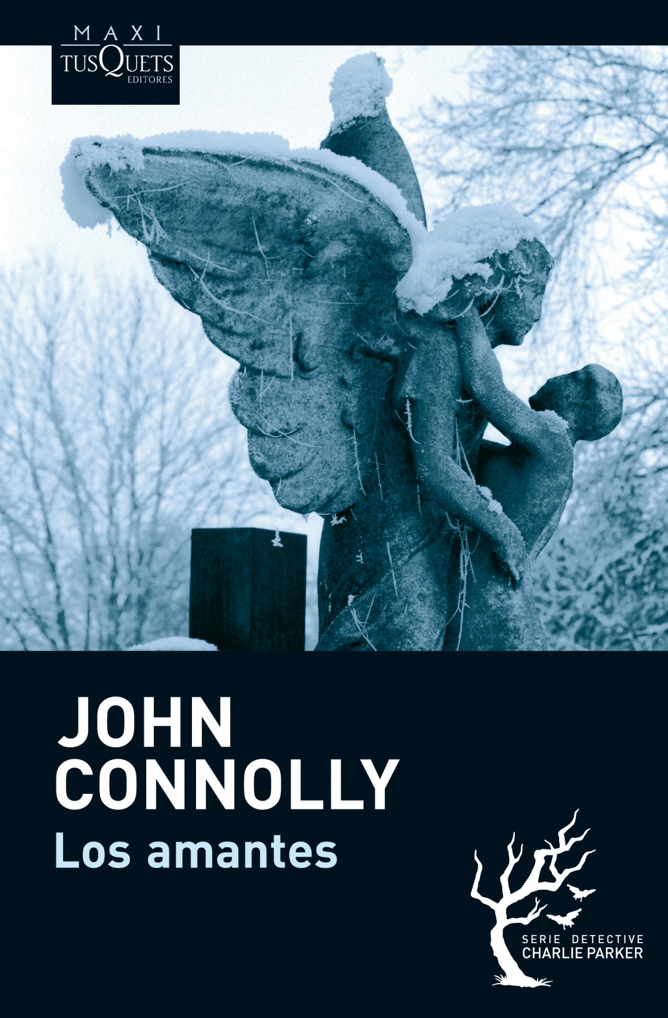 LOS AMANTES (SERIE CHARLIE PARKER 8) JOHN CONNOLLY Comprar libro 9788483836187