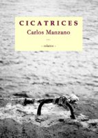 cicatrices (ebook)-cdlap00004627 cicatrices (ebook)-cdlap00004627
