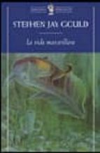 LA VIDA MARAVILLOSA (ED. DE BOLSILLO)