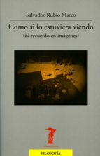 como si lo estuviera viendo (ebook)-salvador rubio marco-9788491140467 como si lo estuviera viendo (ebook)-salvador rubio marco-9788491140467