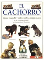el cachorro: como cuidarlo y adiestrarlo perfectamente-brigitte harries-9788428210997 el cachorro: como cuidarlo y adiestrarlo perfectamente-brigitte harries-9788428210997