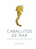caballitos de mar-9788428216807 caballitos de mar-9788428216807