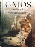 GATOS GUIA MISTICA-18027501-otro-formato