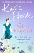 A Perfect Proposal-2901696-otro-formato
