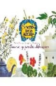 tisanas y jarabes deliciosos-9788493711917 tisanas y jarabes deliciosos-9788493711917