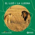 bosc de colors (conte el lleo i la leona)-9788448914127 bosc de colors (conte el lleo i la leona)-9788448914127