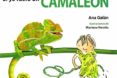 si yo fuera un camaleon-ana galan-9788494821127 si yo fuera un camaleon-ana galan-9788494821127
