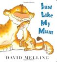 just like my mum-9780340999837 just like my mum-9780340999837