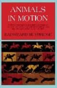 animals in motion-9780486202037 animals in motion-9780486202037