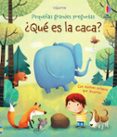 pequeñas y grandes preguntas :¿qué es la caca?-katie daynes-9781474931137 pequeñas y grandes preguntas :¿qué es la caca?-katie daynes-9781474931137