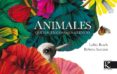 animales que hacen cosas en silencio-lolita bosch-9788415250937 animales que hacen cosas en silencio-lolita bosch-9788415250937