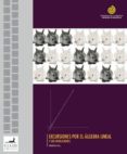 excursiones por el algebra lineal y sus aplicaciones (ebook)-9789563060737 excursiones por el algebra lineal y sus aplicaciones (ebook)-9789563060737