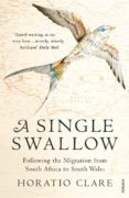 A Single Swallow-2908601-otro-formato