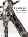 emociones animales-karine lou matignon-9788478718047 emociones animales-karine lou matignon-9788478718047