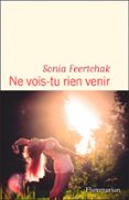 Ebook epub descargas NE VOIS-TU RIEN VENIR (Literatura española) de SONIA FEERTCHAK 9782080447357 CHM