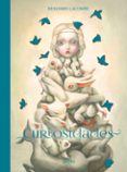 curiosidades-benjamin lacombe-9788414012857 curiosidades-benjamin lacombe-9788414012857
