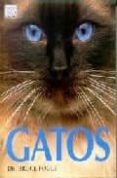 gatos-bruce fogle-9788428213257 gatos-bruce fogle-9788428213257