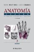 anatomia humana: descriptiva, topografica y funcional (t. 3): mie mbros (11ª ed.)-henry rouviere-andre delmas-9788445813157 anatomia humana: descriptiva, topografica y funcional (t. 3): mie mbros (11ª ed.)-henry rouviere-andre delmas-9788445813157