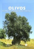 olivos: monumentales de españa-9788484762157 olivos: monumentales de españa-9788484762157