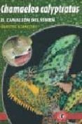 chamaeleo calyptratus: el camaleon del yemen-carsten schneider-9788493418557 chamaeleo calyptratus: el camaleon del yemen-carsten schneider-9788493418557