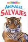 animales salvajes (cuadernos de naturaleza)-araceli fernandez vivas-9788466219167 animales salvajes (cuadernos de naturaleza)-araceli fernandez vivas-9788466219167