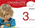 cachalote 3 años. tercer trimestre. educación infantil 3-5 años-9788466765367 cachalote 3 años. tercer trimestre. educación infantil 3-5 años-9788466765367